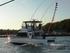21 stripes in one day on Broadbill