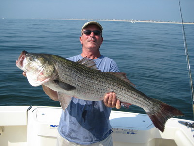 Capt with a 38lbr released