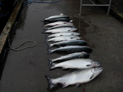 Chinook and Coho Salmon Limit  for two people