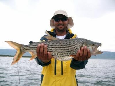 3.2Kg (7lb) Tiger Fish caught on a Surface Lure
