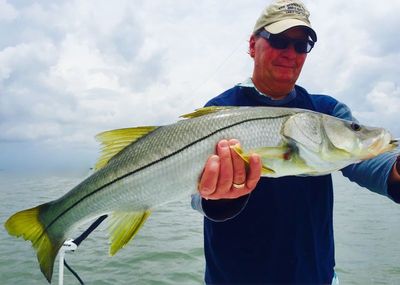 Tampa Bay Deep Sea Fishing Charters