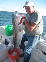 This 41 pound Cape Cod Bay bass was taken on a live eel in 12 feet of water.