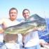 dorado season just starting