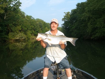 During the fall season big, striped bass migrate up in some small creeks!