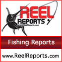 Fishing&nbsp;Reports