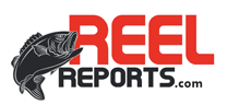 Reel Reports Fishing Reports with IGFA captain Ed Crespy