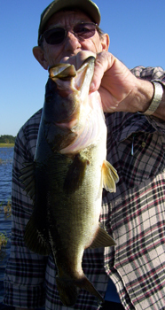 lake toho bass fishing guides