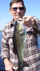 lake toho bass fishing guides