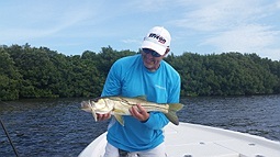 Snook caugth in Tampa Bay Flats