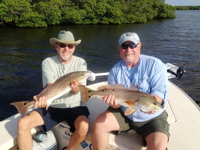 Ray and Pete doubled up on these two nice redfish while fishing along the mangroves in Fort Pierce
