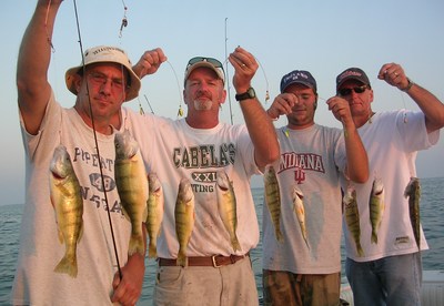 Lake Erie yellow perch fishing frenzy with Erie Quet Charters, Aug. 2009