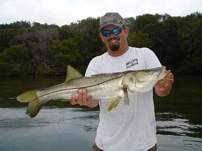 Tampa Bay Snook Fishing