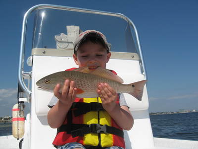 Big lagoon redfish