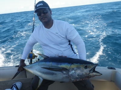 Big Yellowfin Tuna off Durban