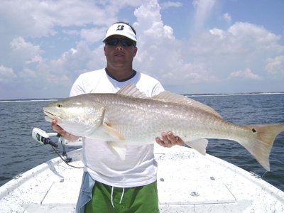 Pensacola Bull Red Fish