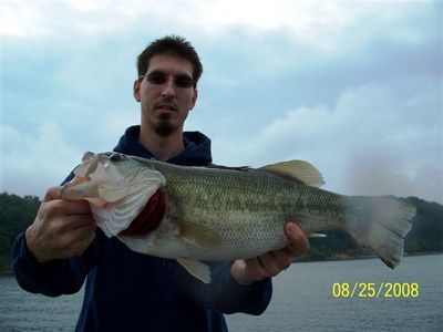 Fat Kentucky Lake Largemouth Bass