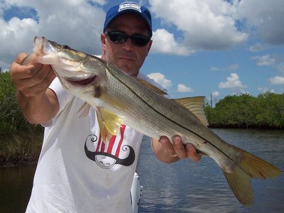 Tampa Fishing Charters | Tampa Fishing Guides