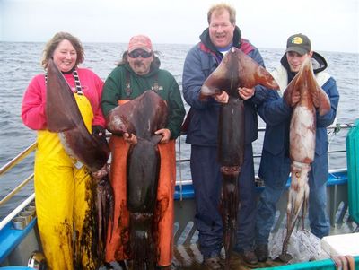 Anna, Steve, Kevin & Chris caught squid