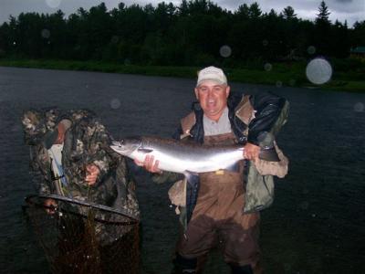 25 pound Atlantic Salmon