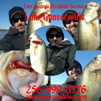 Fishing Report, Lake Guntersville, Bass Fishing Guide