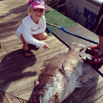 Monster warsaw grouper caught on the Keeping It Reel