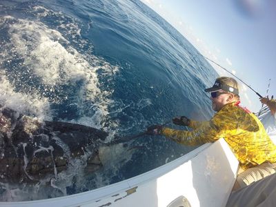 Mark Davis of Big Water Adventures Releases an Enormous Sailfish