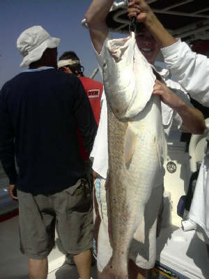 the 2nd of two big redfish caught that day