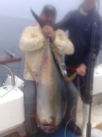 My pb yellowfin of 64 kg