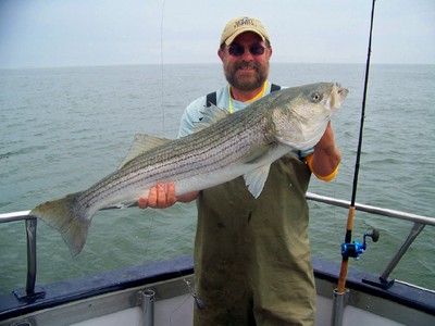 42 inch Fish