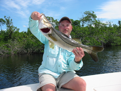 Another Backcountry Snook