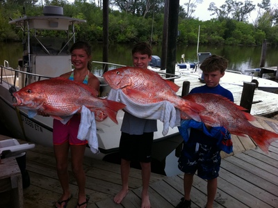 Three huge red snapper