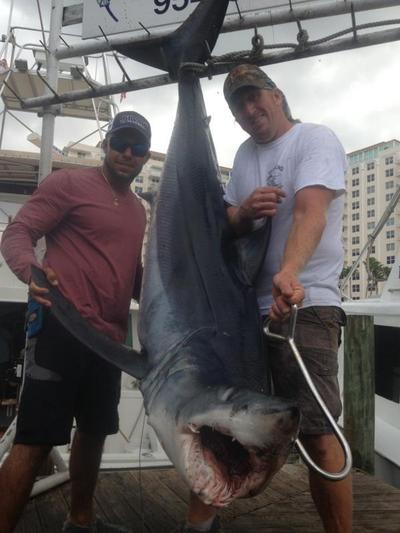 300 pound mako shark