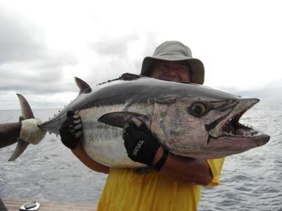Dog tooth tuna in Fiji