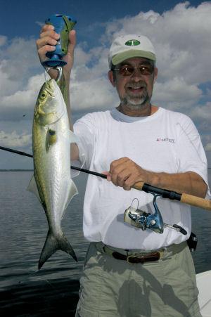 Barry  Slee, from Lake Forest, IL,  witha nice Sarasota Bay blue caught with a CAL shad tail