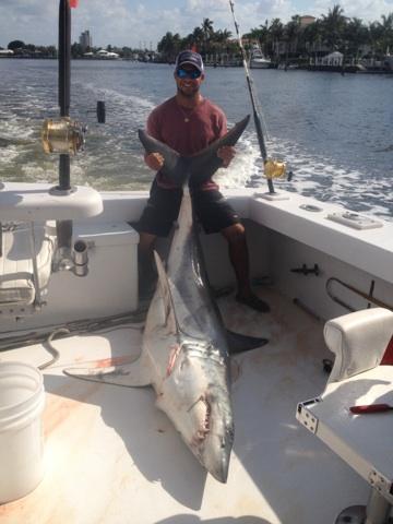 Monster mako shark caught in Ft Lauderdale