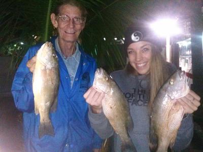 Nice mangrove snappers caught at night