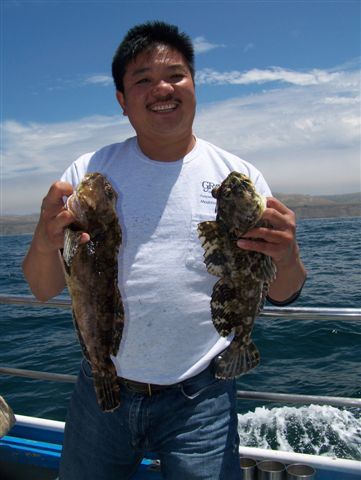 Not only caught limit, but released 4 cabezon