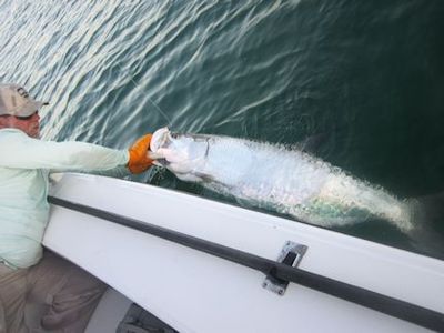 Capt. Rick Grassett revives Jim Dempsey's, from IL, tarpon caught and released in the coastal gulf in Sarasota.
