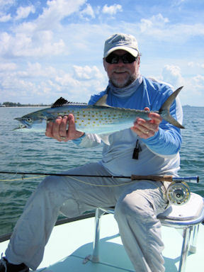 Capt. Rick Grassett with a nice Spanish mackerel caught and released on a fly popper off Longboat Key.