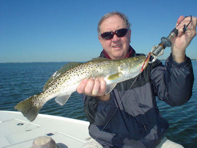 Charlie Rutherford, from Blacksburg, VA, caught and released thsi nice trout on a CAL jig with a shad tail while fishing Sarasota Bay with Capt. Rick Grassett.