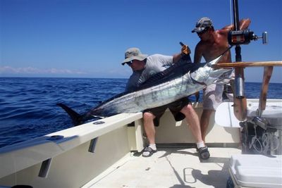 300 lb. Marlin Released today on Mar I