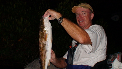 Redfish are very active lately - even at night