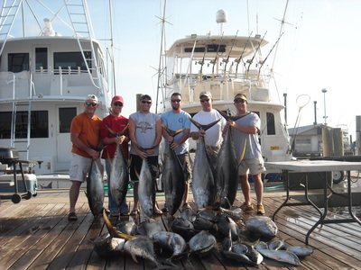 ALL THE  YELLOWFIN  YOU  WANT