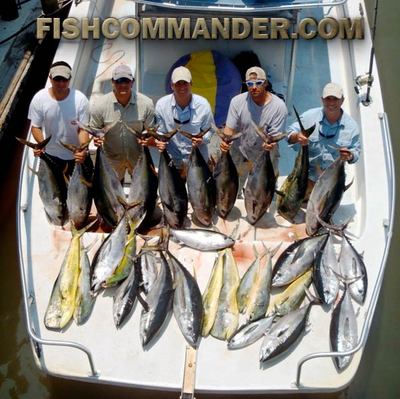 Yellow fin Tuna - Snapper - Dorado