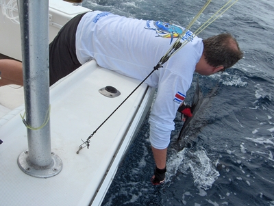 This is my 5th Sailfish Release
