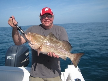26-inch red grouper, on baitfish, 20 miles west of New Pass, Bonita Beach, SWFL
