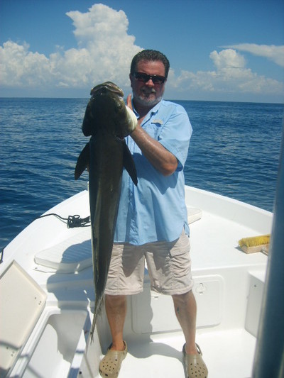 Cobia just before the Storm