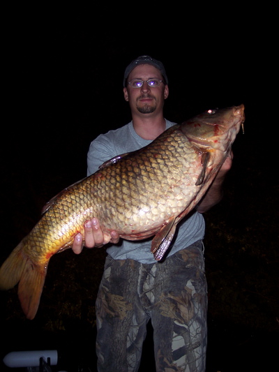 A 30 pound plus carp shot at night