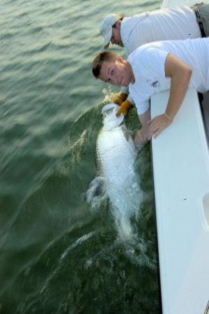 Fred Parrish, from Land O' Lakes, FL, caught and released this 70-pound tarpon on a DOA Baitbuster while fishing Sarasota Bay with Capt. Rick Grassett.