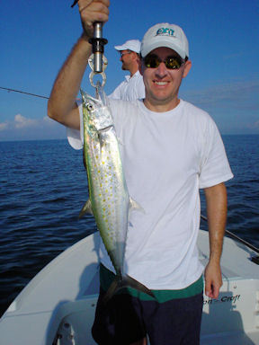 Greg French Sarasota top water plug Spanish mackerel